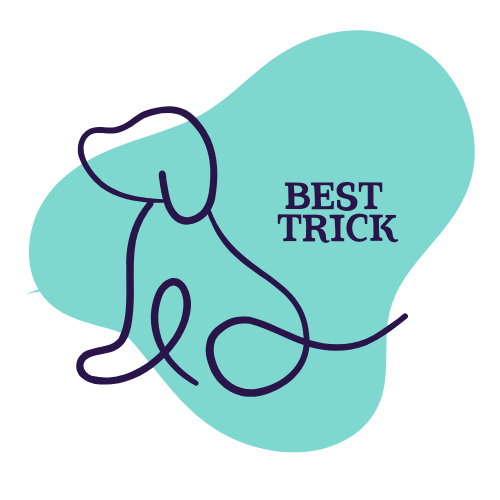 Dog Show Classes - Best Trick