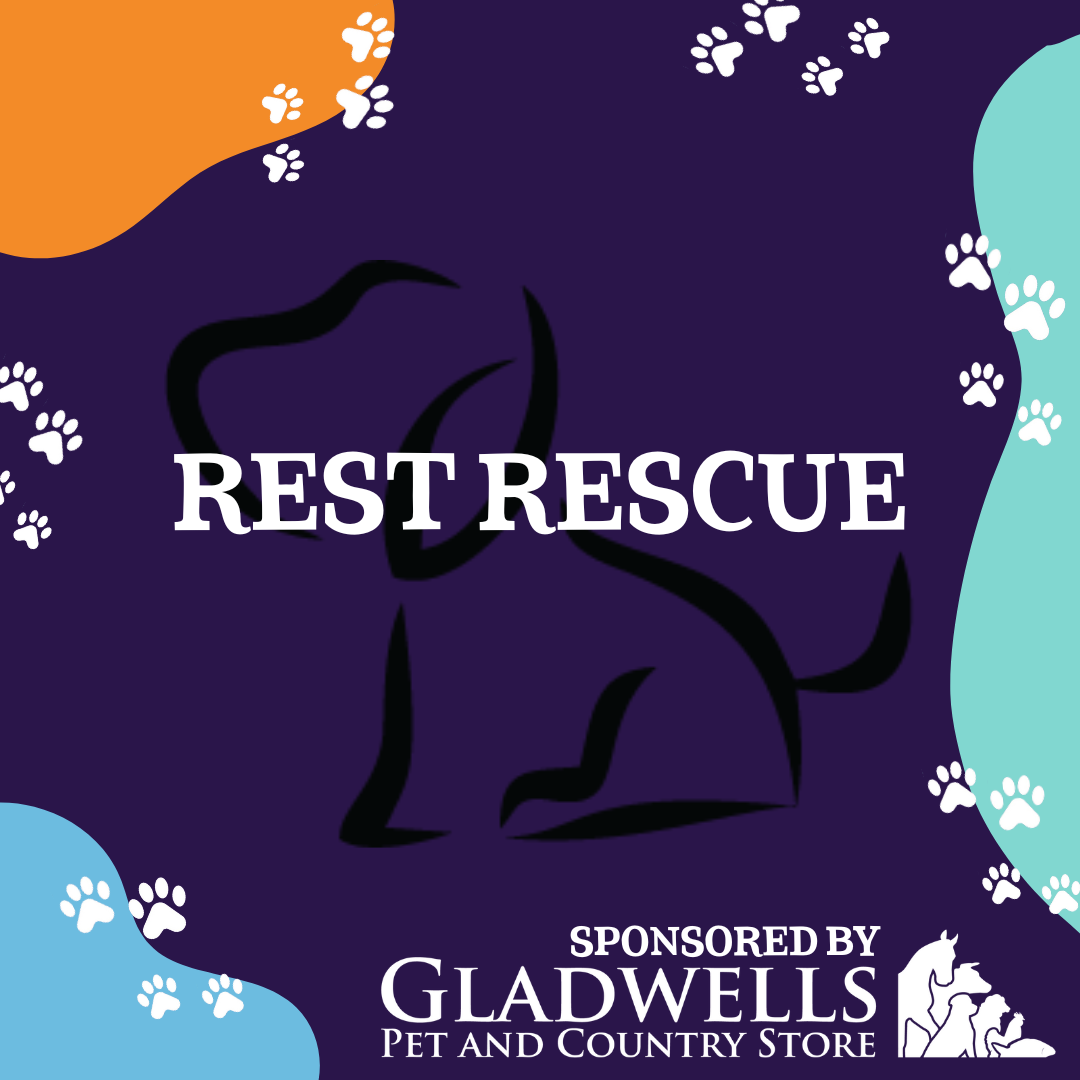 Dog Show Classes Best Rescue Pawfest Ltd