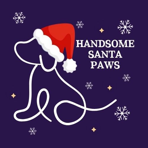 The Jingle Bell Dog Show - Handsome Santa Paws