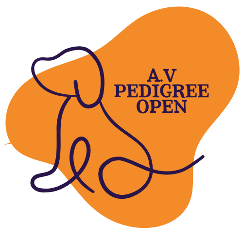Dog Show Classes - A.V Pedigree Open