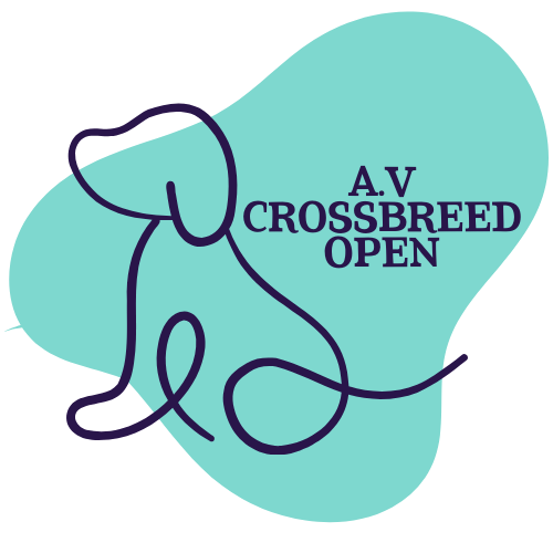 Dog Show Classes - A.V Crossbreed Open