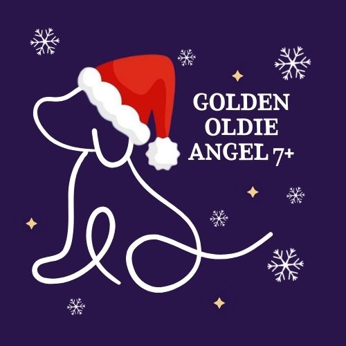 The Jingle Bell Dog Show - Golden Oldie Angel 7+
