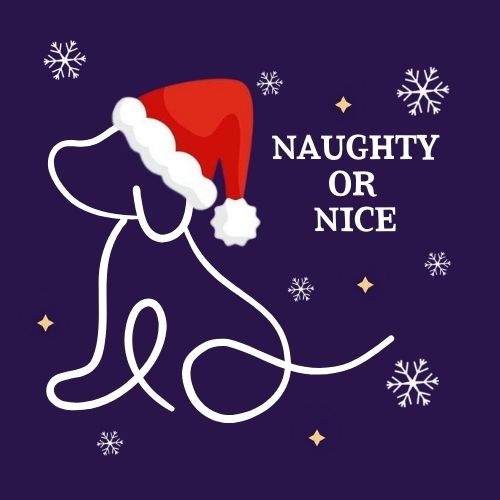 The Jingle Bell Dog Show - Naughty or Nice