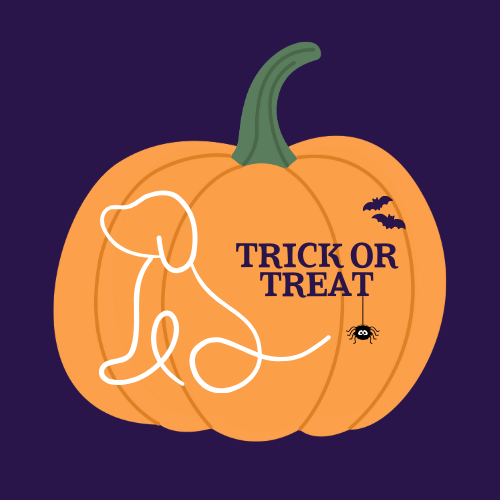Spooktacular Dog Show Classes - Trick or Treat