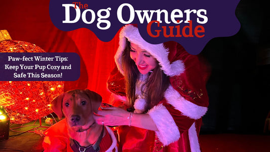 Paw-fect Winter Tips: Keep Your Pup Cozy and Safe This Season!