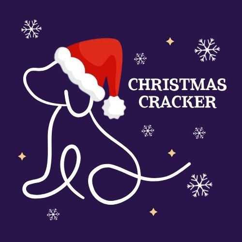 The Jingle Bell Dog Show - Christmas Cracker