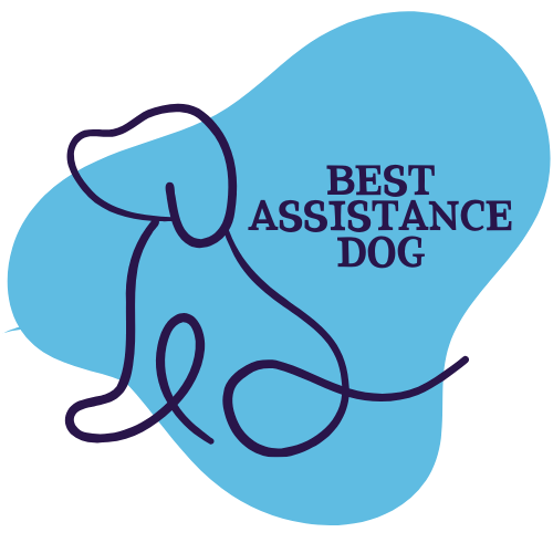 Dog Show Classes - Best Assistance Dog