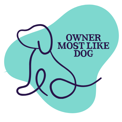 Dog Show Classes - Owner Most Like Dog