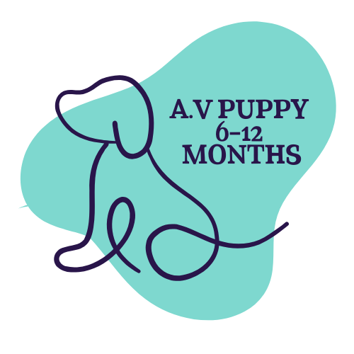 Dog Show Classes - A.V Puppy 6-12 Months