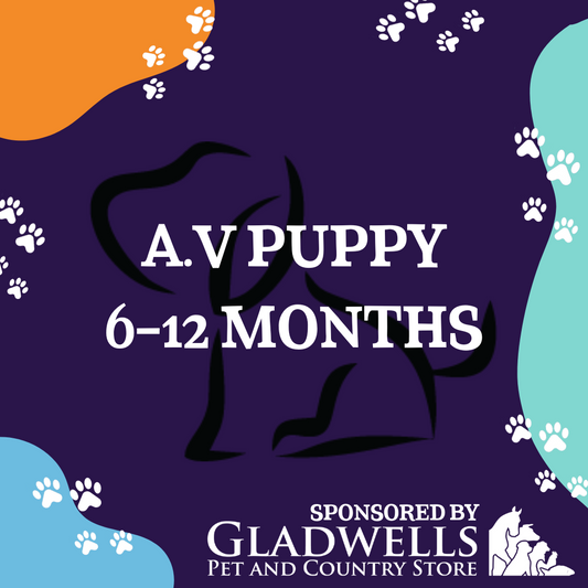 Dog Show Classes - A.V Puppy 6-12 Months