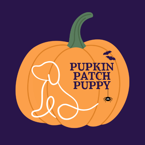 Spooktacular Dog Show Classes - Pupkin Patch Puppy