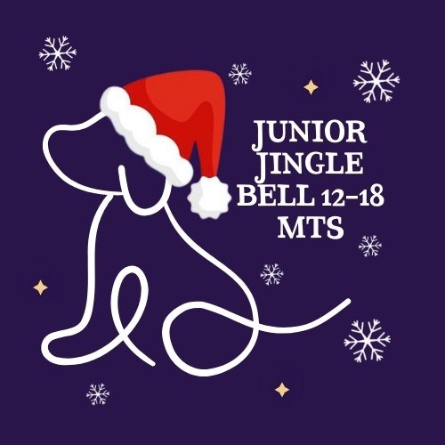 The Jingle Bell Dog Show - Junior Jingle Bell 12-18 mts
