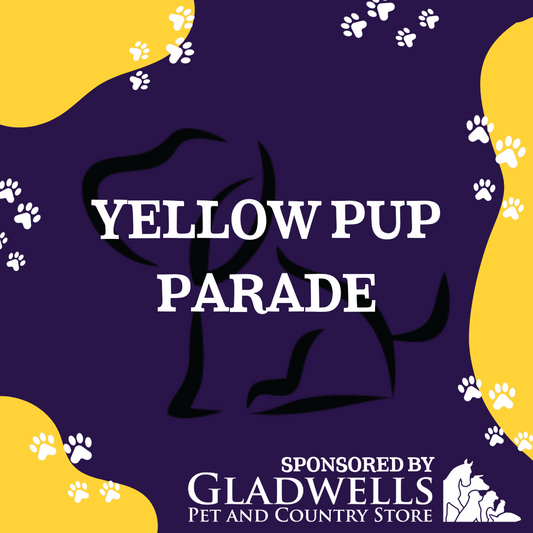 Dog Show Classes - Yellow Pup Parade 🎗️