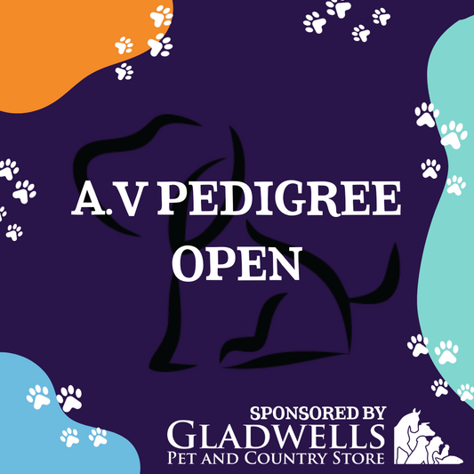 Dog Show Classes - A.V Pedigree Open