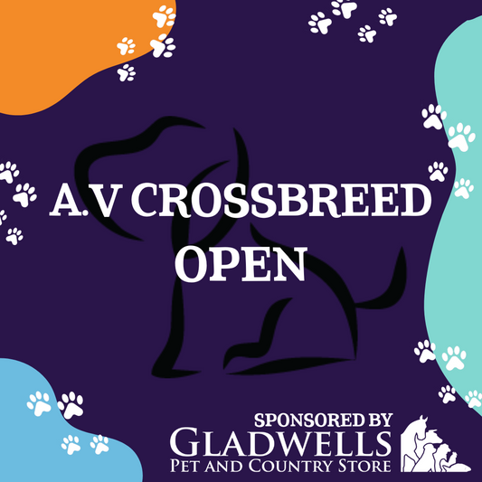 Dog Show Classes - A.V Crossbreed Open