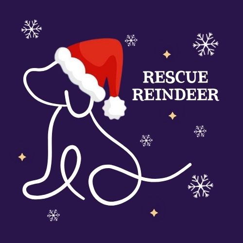 The Jingle Bell Dog Show - Rescue Reindeer