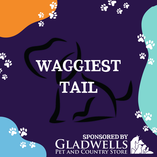 Dog Show Classes - Waggiest Tail