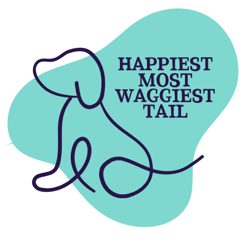 Dog Show Classes - Happiest Most Waggiest Tail