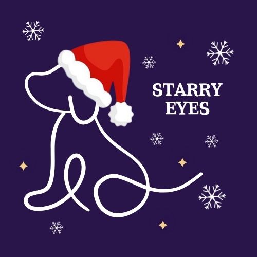 The Jingle Bell Dog Show - Starry Eyes