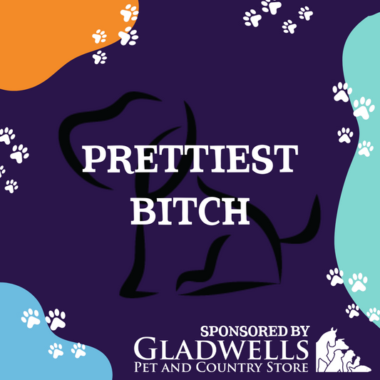 Dog Show Classes - Prettiest Bitch